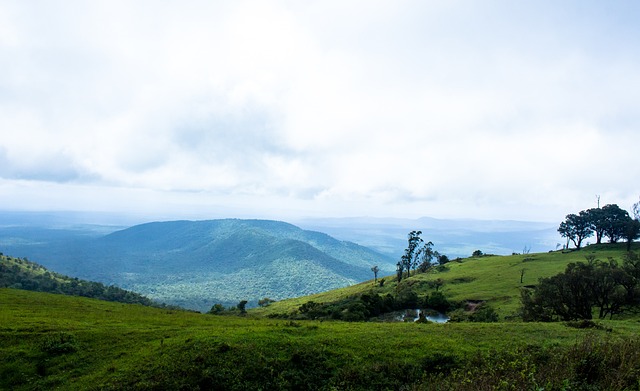 未来几个赛 未来几个赛