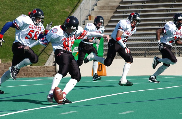 成鲜明对比 成鲜明对比