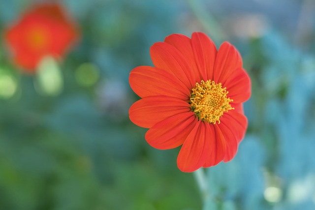 队长的担当C罗让出点球，并向球迷打手势示意别嘘马内.