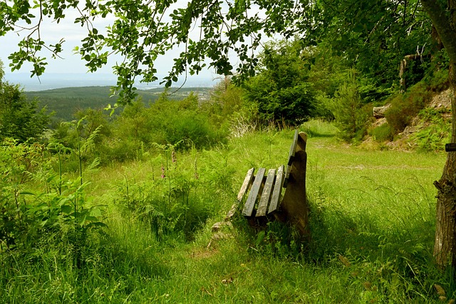 拥有诸如乔 拥有诸如乔