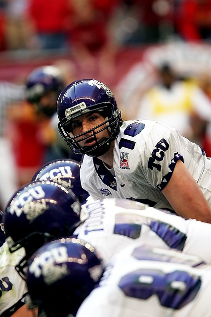 也正是杨鸣 也正是杨鸣