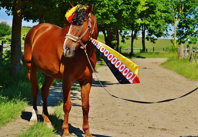 以迎接挑战 以迎接挑战