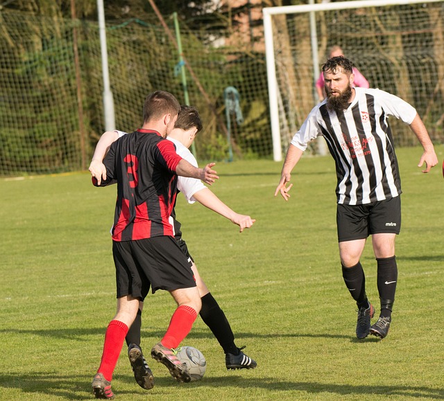 竞争的趋势 竞争的趋势