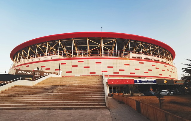 年奪得NB 年奪得NB