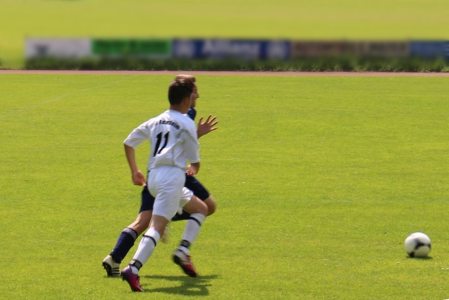 别一跃成为 别一跃成为