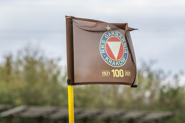 发的平局 发的平局